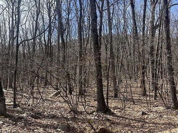 3rd image of E Creek Dr