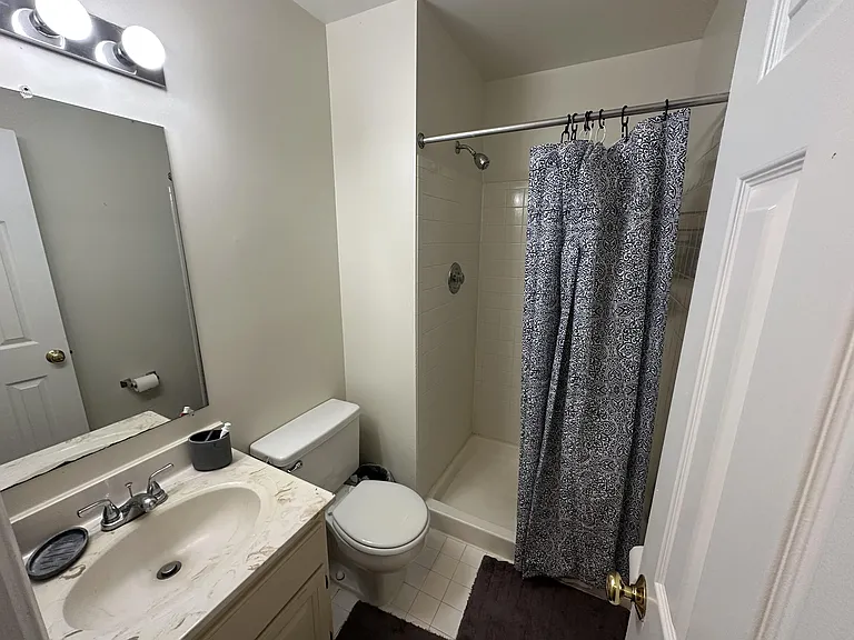 Lower-Level Bathroom