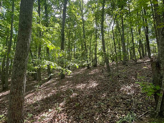 4th image of 0 Packs Mountain Ridge Rd