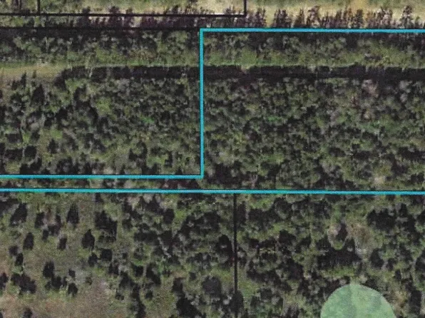 Old Tung Grove Rd, Monticello, FL 32344