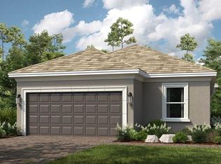 3840 Consolare Ct, Wesley Chapel, FL 33543