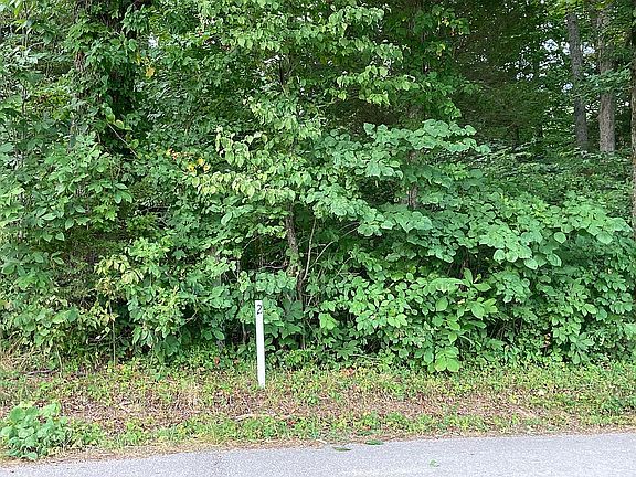 LOT #2