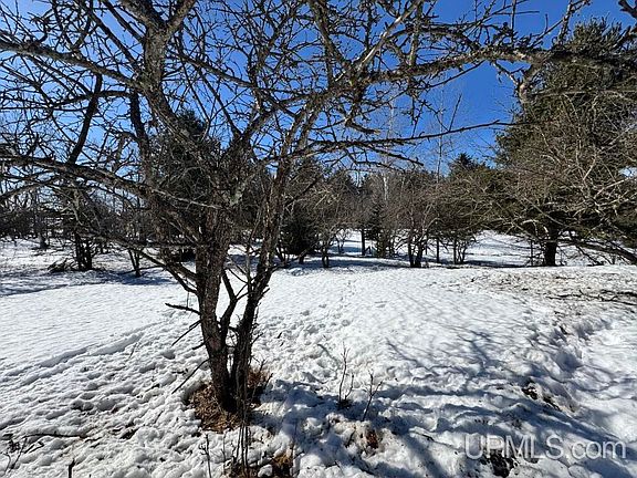 4th image of Tbd Bellaire Rd