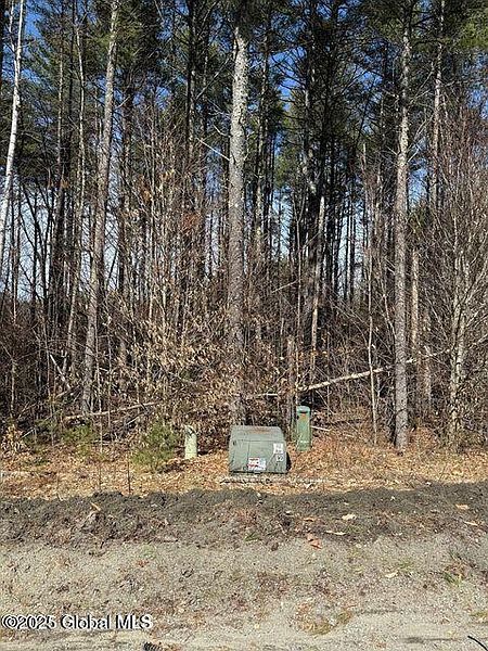 4th image of 61 Snowshoe Ridge