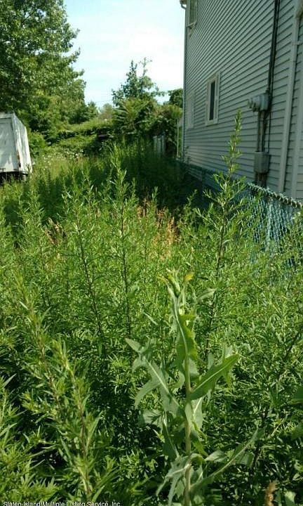 2nd image of 58 Saint Marys Ave
