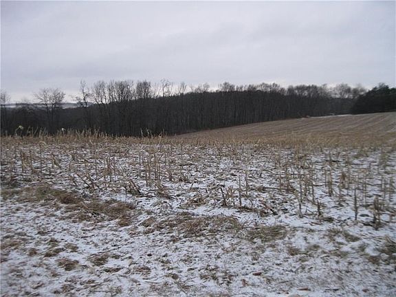 56.9 acres  approx. 40 tillable and 17 wooded