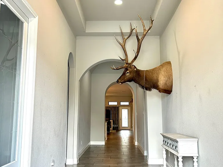 16854 Bark Cabin Dr — Photo 2
