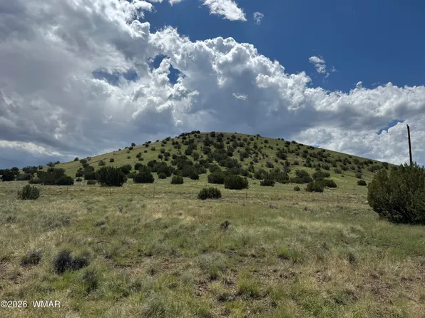 168 County Road 5201, Concho, AZ 85924