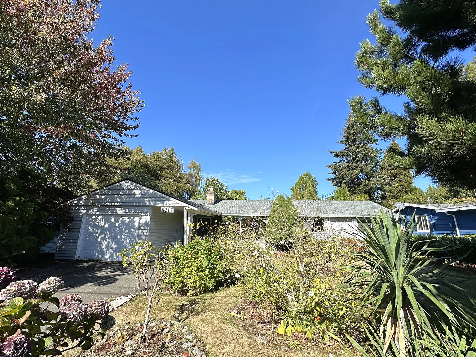 3 bed, 1.5 bath, 1440 sqft, $3,150 — Photo 3