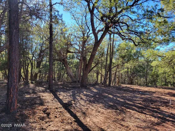 6630 West Dr, Show Low, AZ 85929