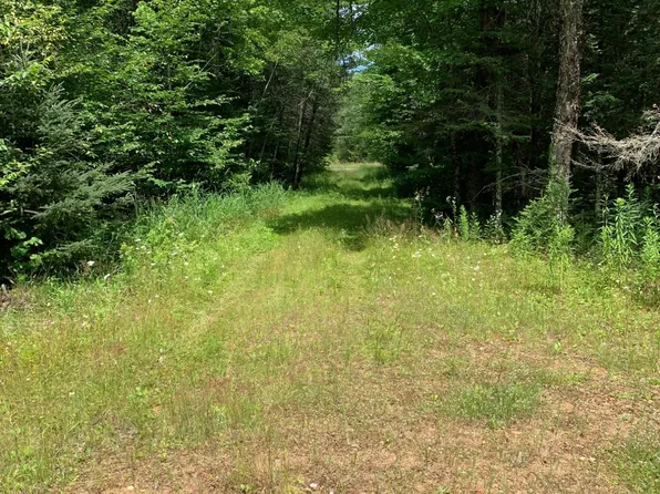 Cth E #J, Deerbrook, WI 54424