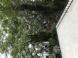 Rented by Guidance Realty Corp.