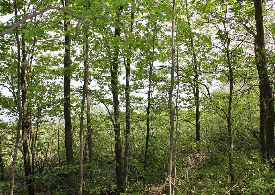 1st image of LOT 3 200th Ave