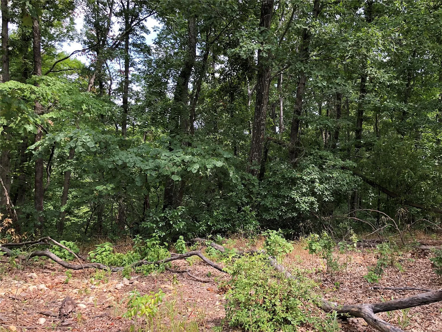 18631 Hawks Trail Dr photo 1