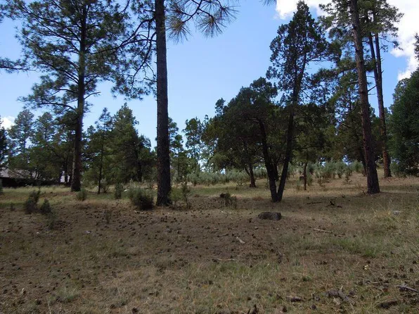 304 High Mesa Dr #3, Alto, NM 88312