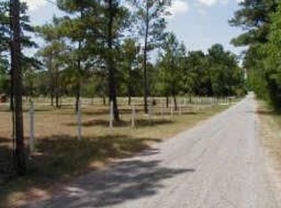 316 S Magnolia Dr, Conroe, TX 77301