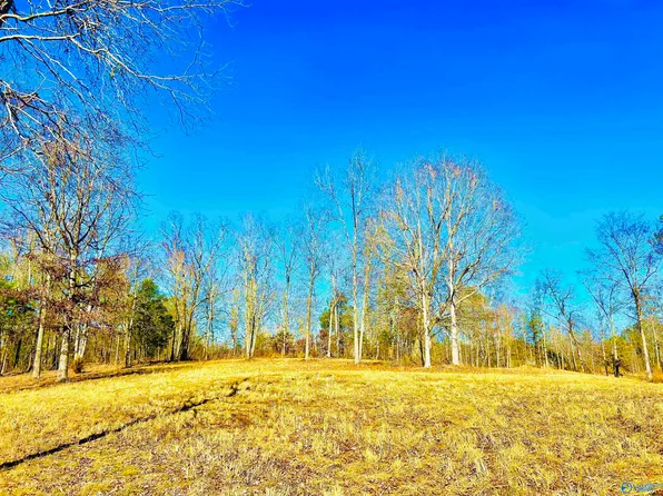 Norris Mill Rd, Hartselle, AL 35640