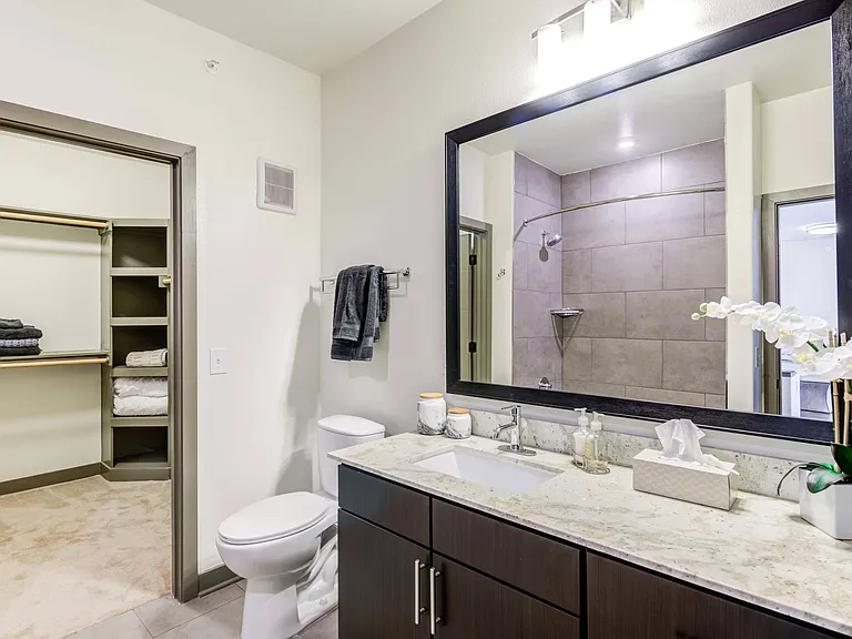 Renovated Bathroom with Walk-in Closet