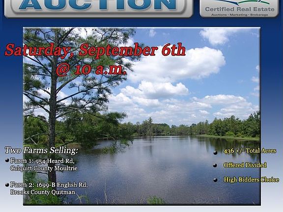 Georgia Land Auction Georgia Real Estate Auction and Georgia Land For Sale