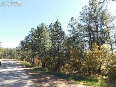 682 Copper Fox Pl, Larkspur, CO, 80118