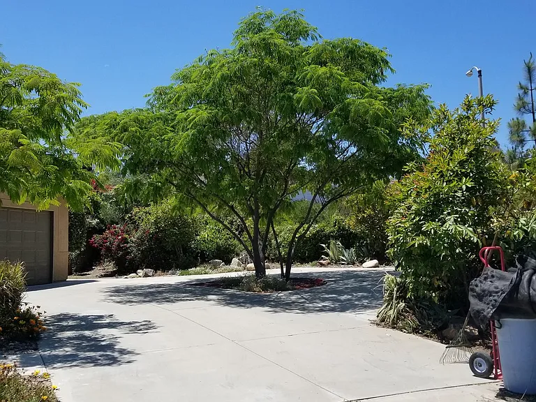805 Alpine Ct #M — Photo 11