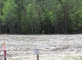 125 Htbrown Ln Lot 1, Magnolia, NC 28453