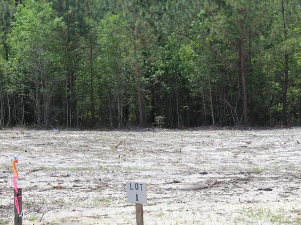 125 Htbrown Ln Lot 1, Magnolia, NC 28453