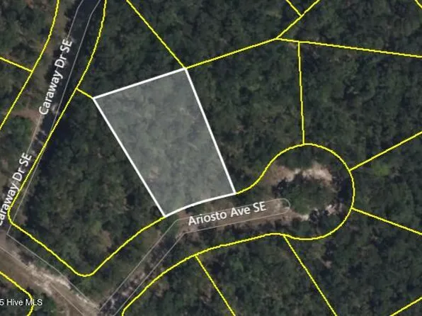 484 Ariosto Ave SE Lot 948, Bolivia, NC 28422