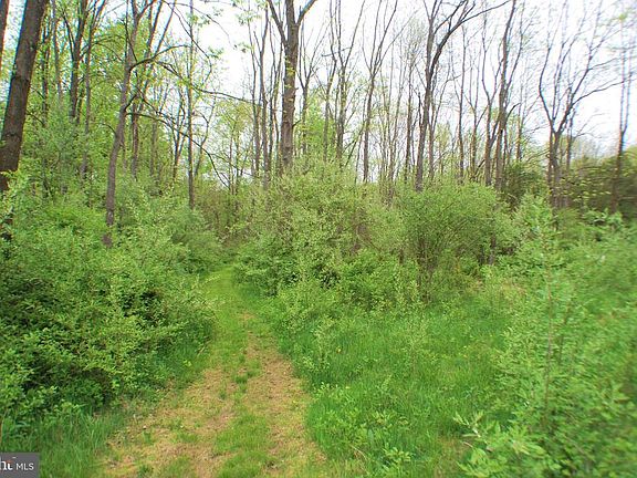 4th image of 1013 Thousand Acre Rd