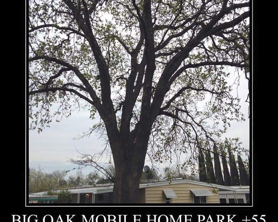 1st image of 8318 Parkside Ln