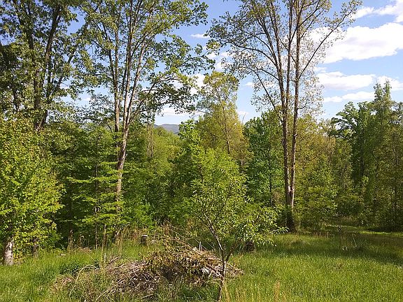 2nd image of 100 Little Mountain Dr