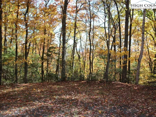 Lot 7 Charlie Warwick Road, Fleetwood, NC 28626