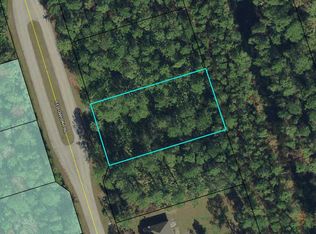 53 Sedgwick Trl, Palm Coast, FL 32164