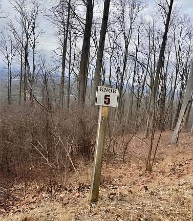 3rd image of 5 Rocky Knob #5