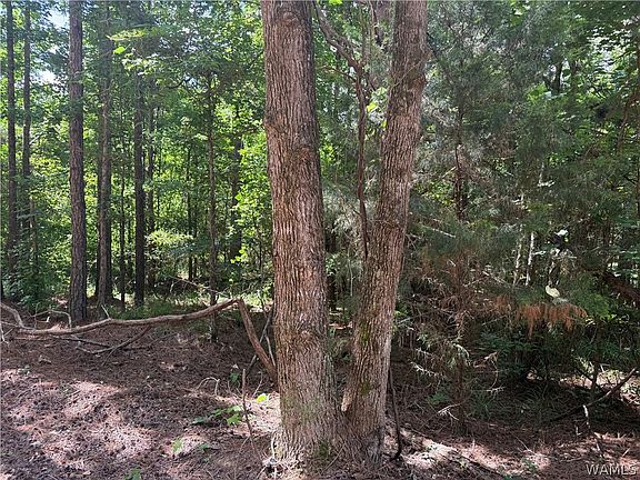 2nd image of 3 Samson Clements Loop Rd