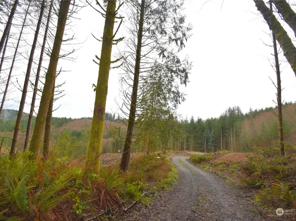 375 El Dorado Drive, Longview, WA 98632