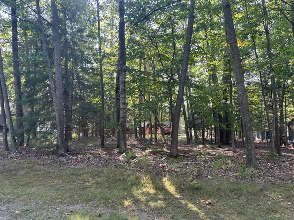 V/l L16 17 North Owl Rd, Lincoln, MI 48742