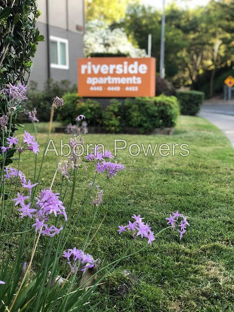 2 bed, 1.0 bath, 819 sqft, $1,695 — Photo 3