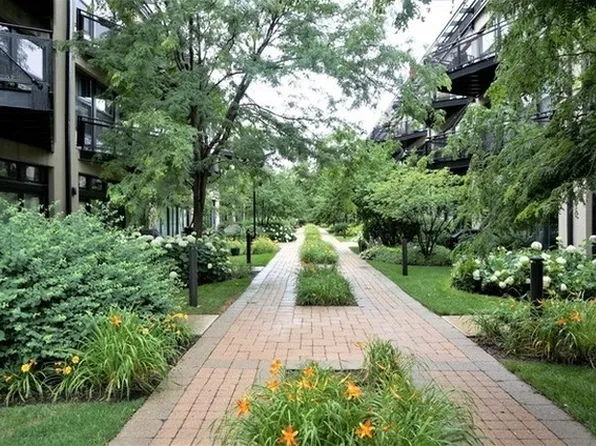 1000 W 15th St #415, Chicago, IL 60608