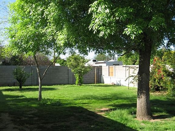 Nice green back yard