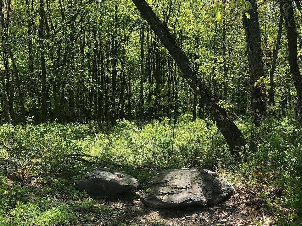 Lake Rd, Pine Plains, NY 12567 Zillow