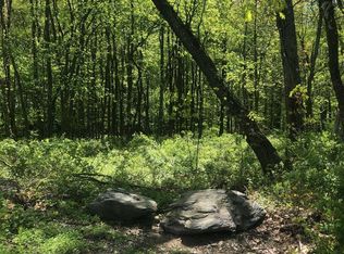 Lake Rd, Pine plains, NY 12567