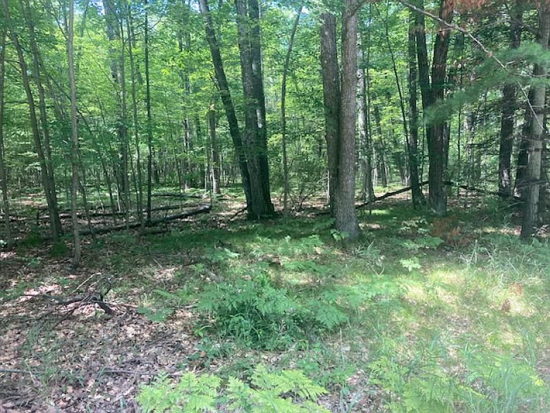 2nd image of 10 Mount Maria Blvd