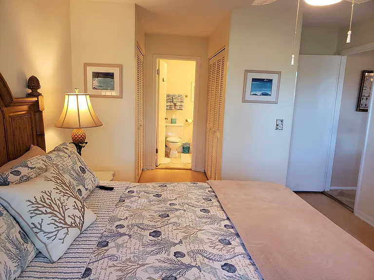 Master bedroom with private bath and two large closets