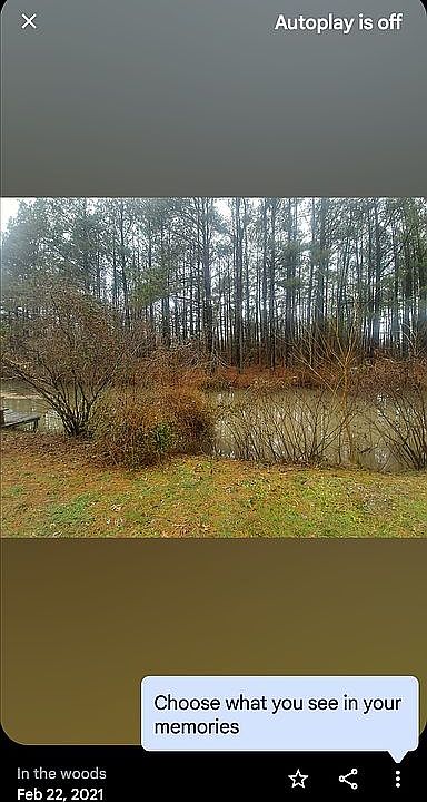 2nd image of 12616 Horseshoe Bay Ct