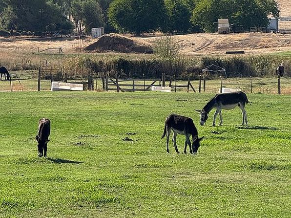 32272 Avenue 176 #B & C