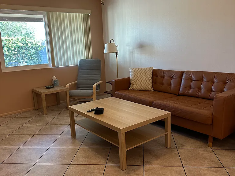 living room 1