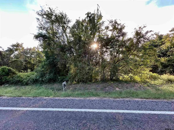 LOT 1 Fm 1519 N, Leesburg, TX 75451