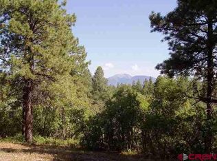 71 Morningstar Dr, Durango, CO 81303