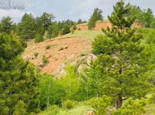 63 Wilson Way, Cripple Creek, CO 80813